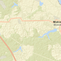 Molokovo Street Map