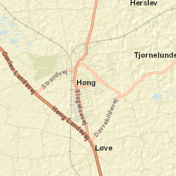 Høng Street Map