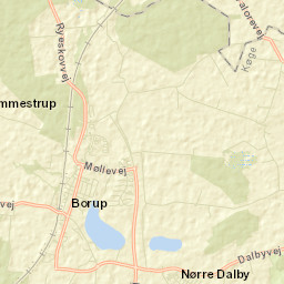 Borup Street Map