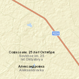 Laishevskiy Rayon Street Map