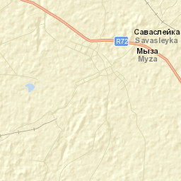 Savasleyka Street Map