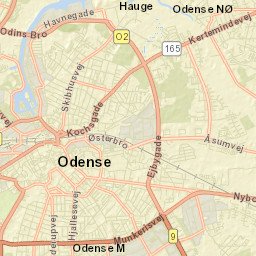 Odense Street Map