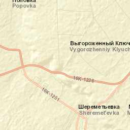 Nizhnekamskiy Rayon Street Map