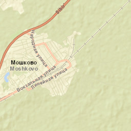 Moshkovskiy Rayon Street Map