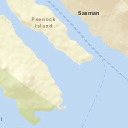 Saxman Alaska Street Map