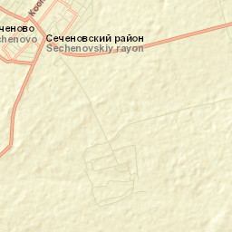 Sechenovo Street Map