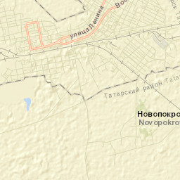 Tatarsk Street Map