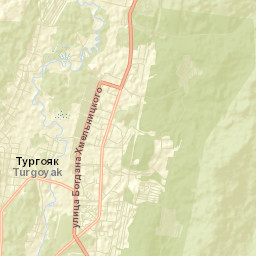 Turgoyak Street Map