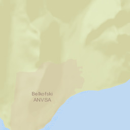 Belkofski Alaska Street Map