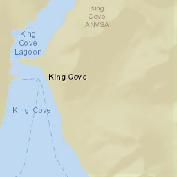 King Cove Alaska Street Map