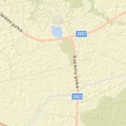 Gelgaudiškis Street Map