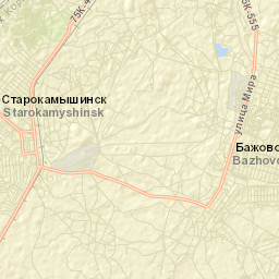 Starokamyshinsk Street Map