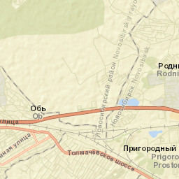 Tolmachëvo Street Map