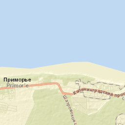 Otradnoye Street Map