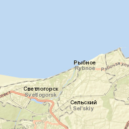 Svetlogorsk Street Map