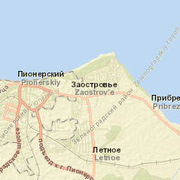 Pionerskiy Street Map