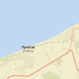 Zelenogradsk Street Map