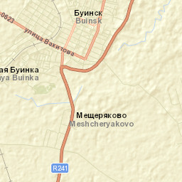 Gorod Buinsk Street Map