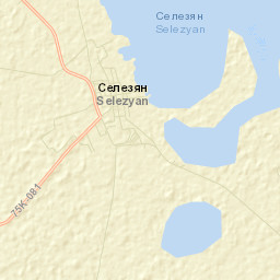 Selezyan Street Map