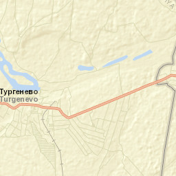 Turgenevo Street Map