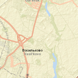 Gur’yevsk Street Map