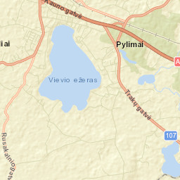 Vievis Street Map