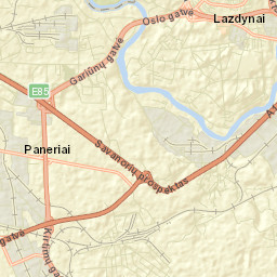 Lazdynai Street Map
