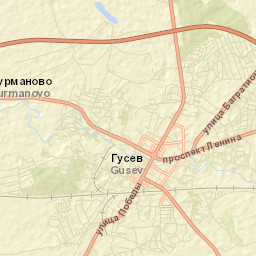 Gusev Street Map