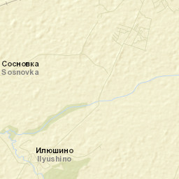 Nesterovskiy Rayon Street Map