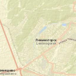 Leninogorsk Street Map