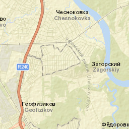Chesnokovka Street Map