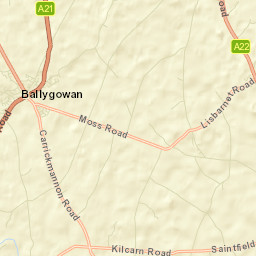 Ballygowan Street Map