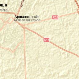 Orsha Street Map