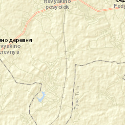 Revyakino Street Map