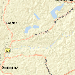 Somonino Street Map