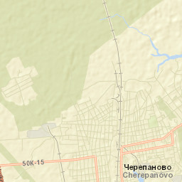 Cherepanovo Street Map