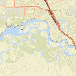 Dimitrovgrad Street Map