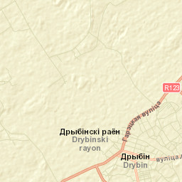 Drybin Street Map