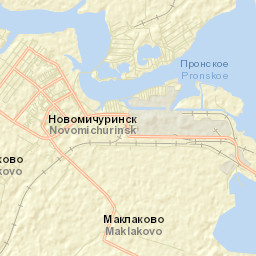 Novomichurinsk Street Map