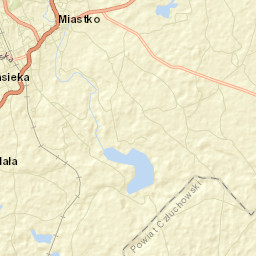 Miastko Street Map