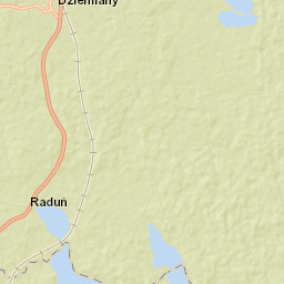 Dziemiany Street Map