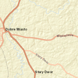 Dobre Miasto Street Map