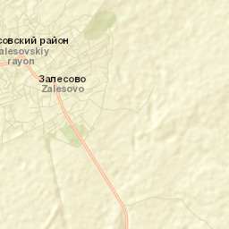 Zalesovo Street Map