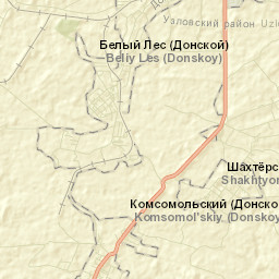 Podlesnyy Street Map