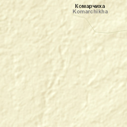 Zarinskiy Rayon Street Map