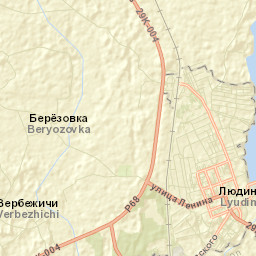 Lyudinovo Street Map