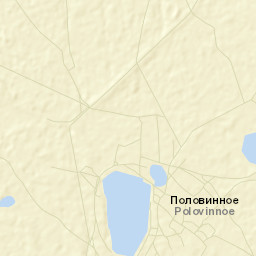 Polovinnoye Street Map