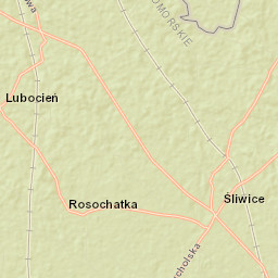 Śliwice Street Map