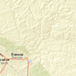 Barysh Street Map