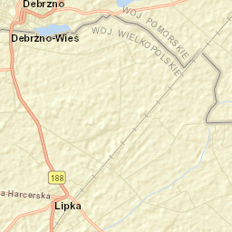 Debrzno Street Map